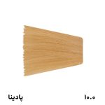 رنگ مو پادینا مدل N9 رنگ بلوند پلاتینه 100 میلی‌لیتر