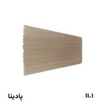 رنگ مو پادینا مدل C10 بلوند نقره ای پلاتینه 100 ml