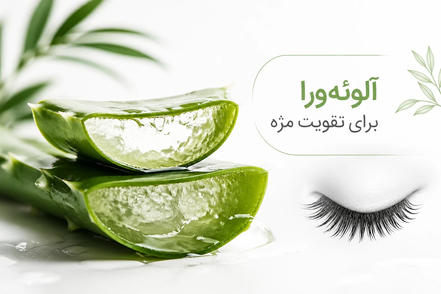 عصاره آلوئه ورا
